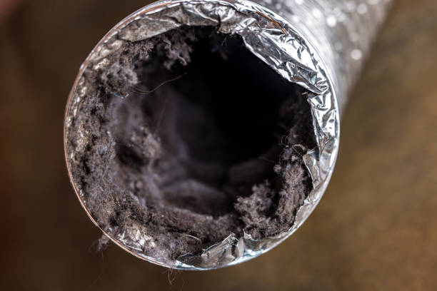 Best Air Duct Cleaning Near Me  in Kewaunee, WI